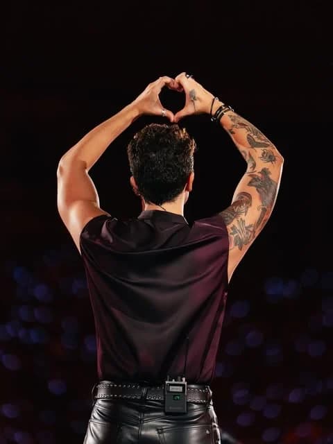 Luan Santana no palco — foto de divulgação (Fábrica de Eventos) 4